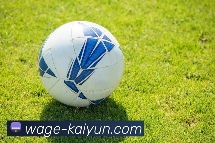 开云APP 高清赛事图